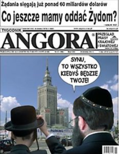 angora_zydzi