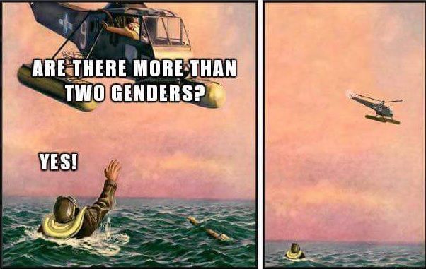 genders.jpg